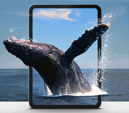 2x Szkło hartowane z aplikatorem do iPad Pro 13 2024 / iPad Pro 13 M4 2025